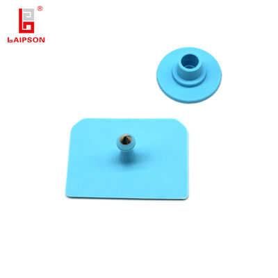 52mm OEM Visual TPU Plastic Laser Printing Numbers Swine Pig Male Ear Tags